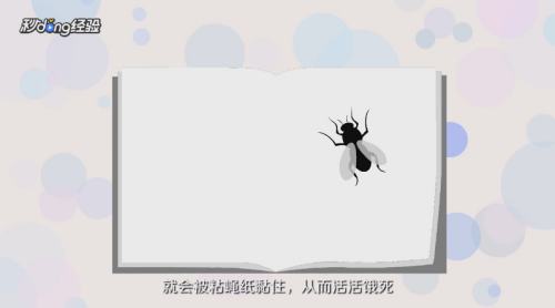 灭苍蝇的家庭小妙招有哪些