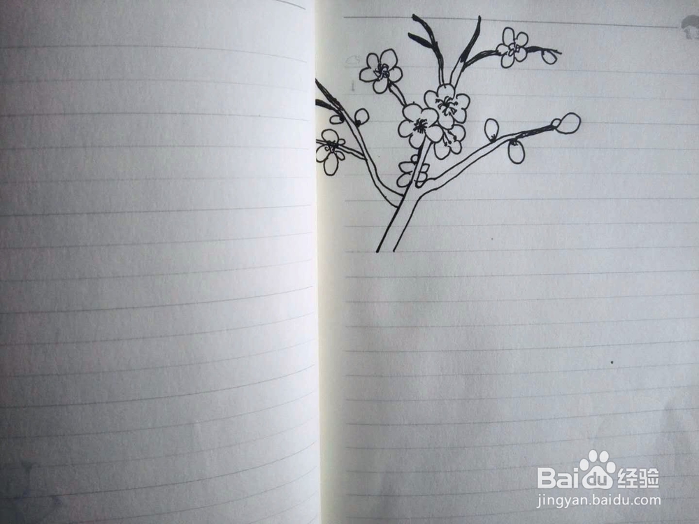 简笔画梅花的画法