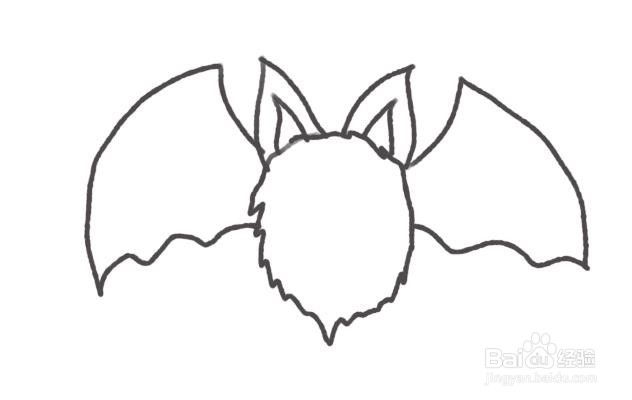 sketchbook怎么画蝙蝠