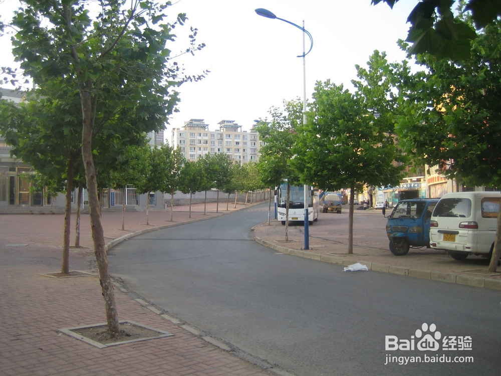 怎样告诉孩子安全过马路--51