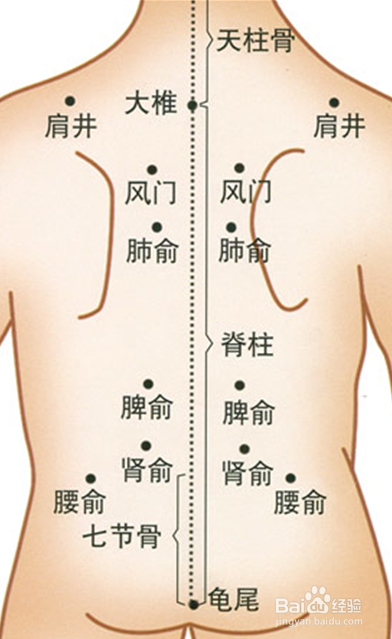 怎样做护肾操