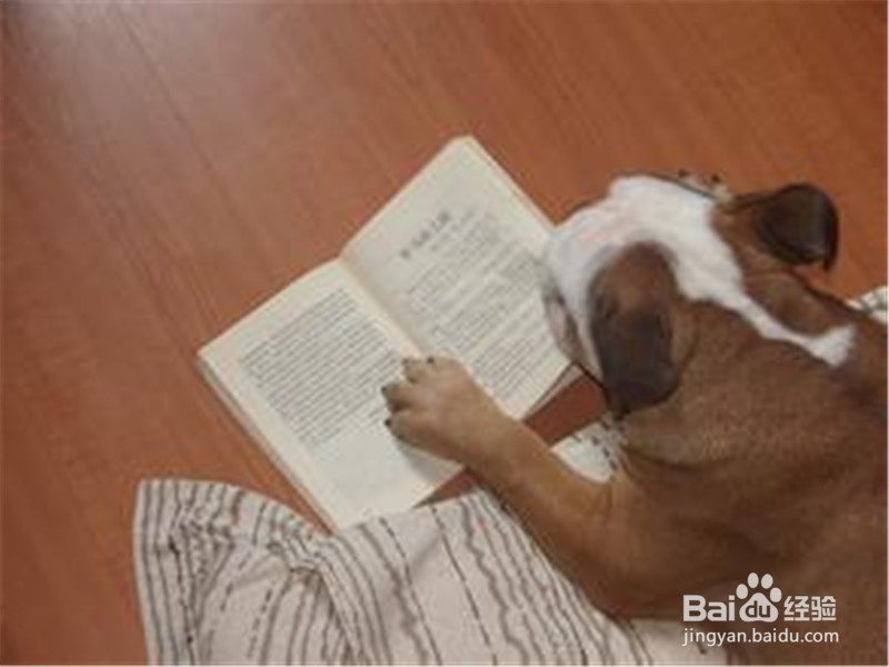 概浏览书籍的五个注意事项