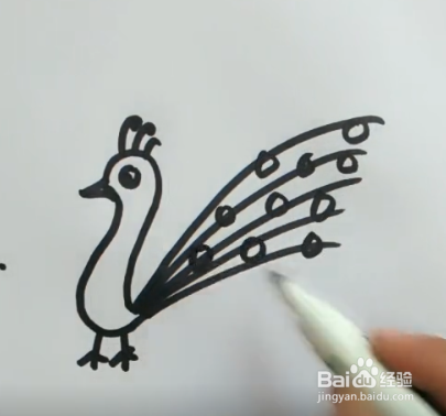 怎样简笔画孔雀