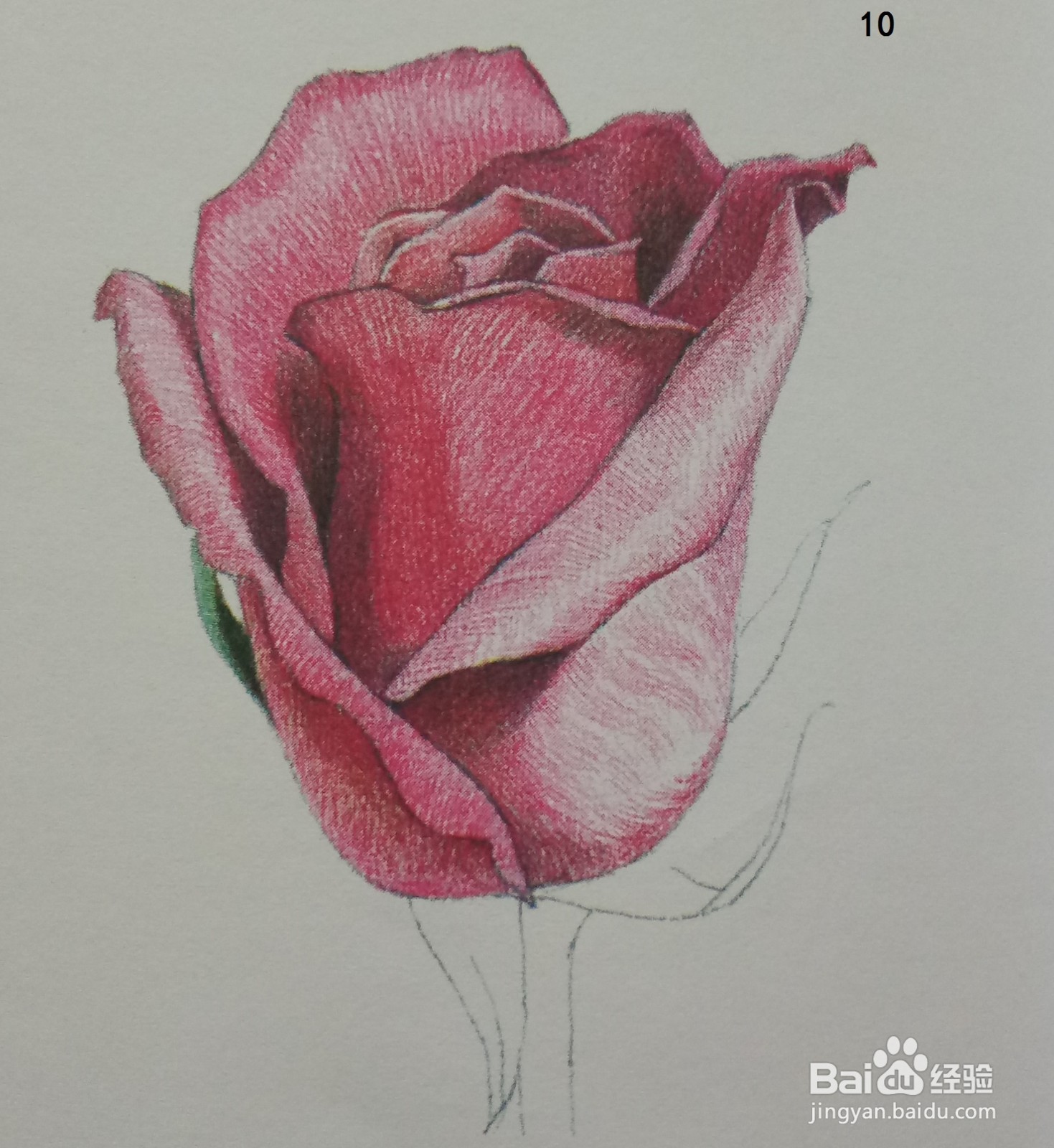 色铅笔画一朵红玫瑰(素描进阶)