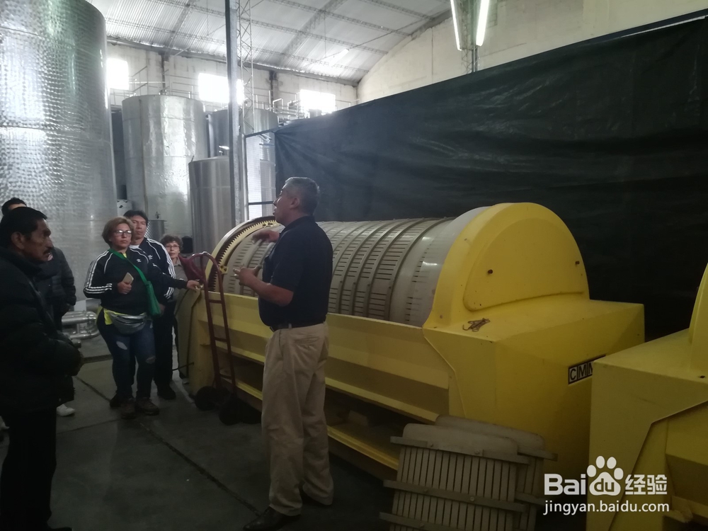 玻利维亚塔里哈市旅游攻略:红酒文化之旅