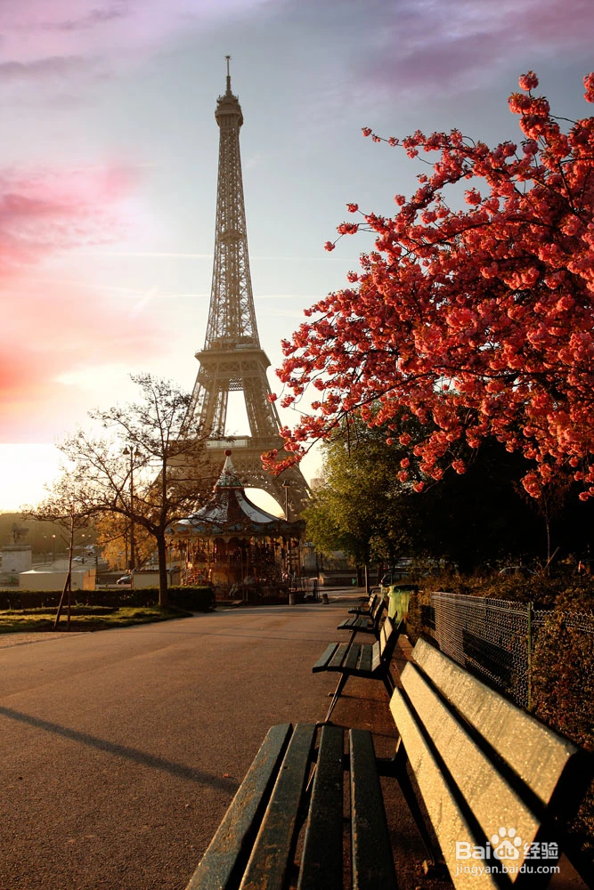 去巴黎旅游怎么玩?