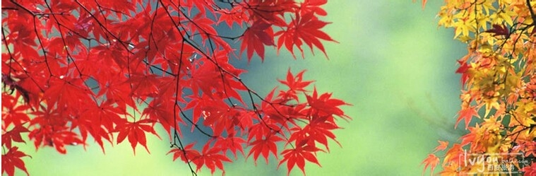 北京有什么好玩的地方