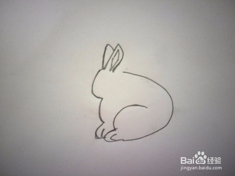 简笔画—小白兔的画法