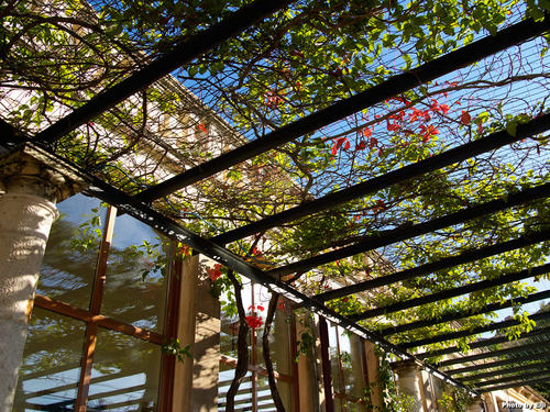 意大利旅游拜倒在西西里岛石榴裙下