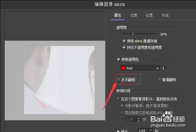 BB FlashBack在视频图像怎么水平翻转