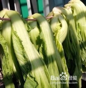 青菜做酸菜怎么做