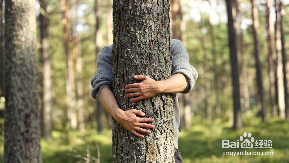 在芬兰可持续旅游的10个贴士