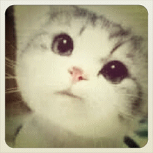 怎样用手机拍摄并制作gif动态图片？