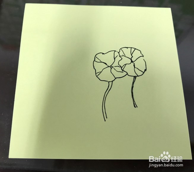 如何绘制莲花的速写呢