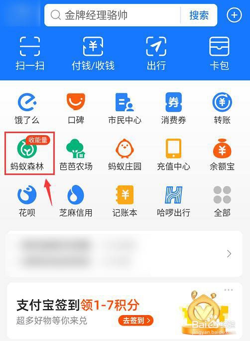 蚂蚁森林里的小动物如何获得