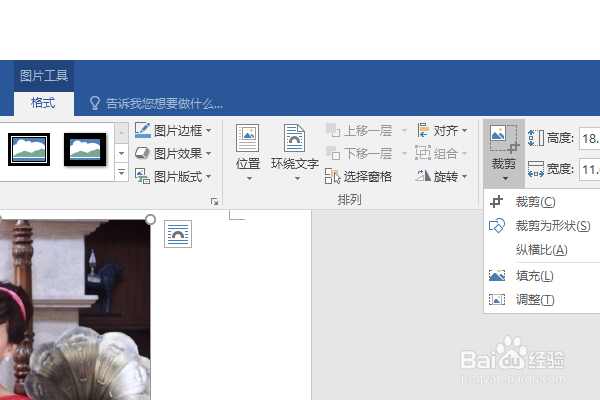 word2016如何裁剪十字形图片