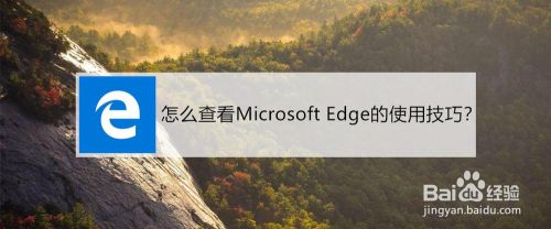 怎么查看Microsoft Edge的使用技巧？