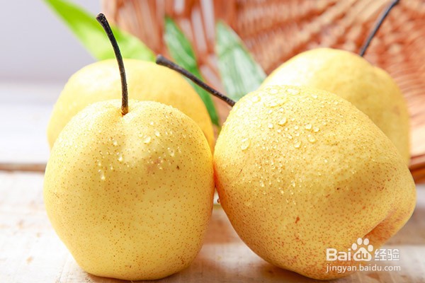 支气管咳嗽应该吃什么好得快