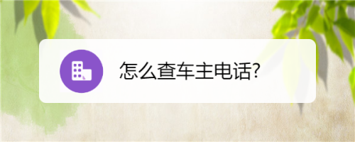 怎么查车主电话?