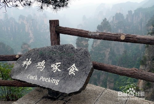 益阳到张家界旅游攻略