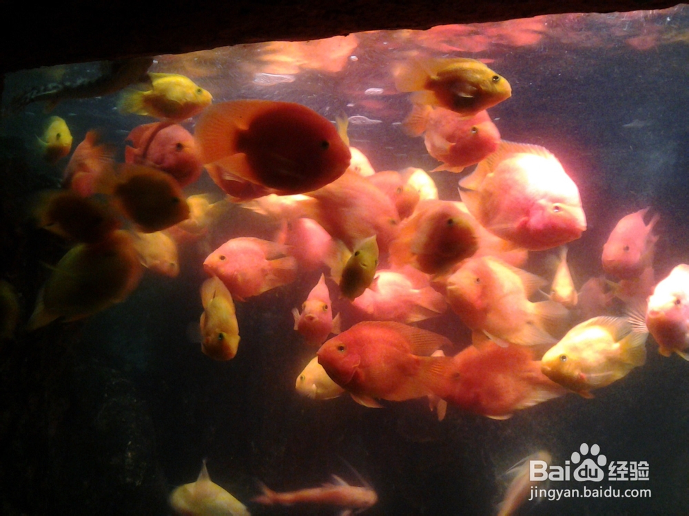 北海银滩自助游