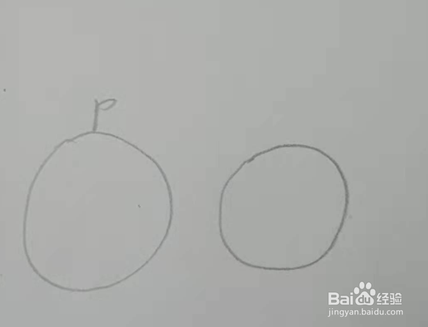 橘子的创意简笔画