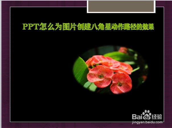 PPT怎么为图片创建八角星动作路径的效果