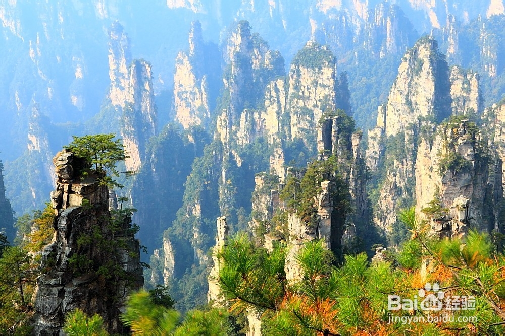 唐山到张家界旅游攻略