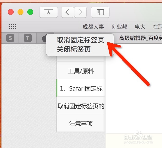 Mac新Safari一键静音和网页标签固定功能