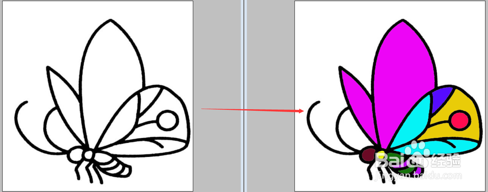 PS图像处理案例：黑白蝴蝶变彩蝶