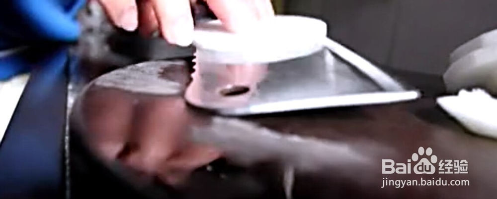 两样常见物品 巧剁肉饼不粘刀