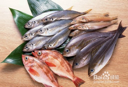 哪些食物可以健脑