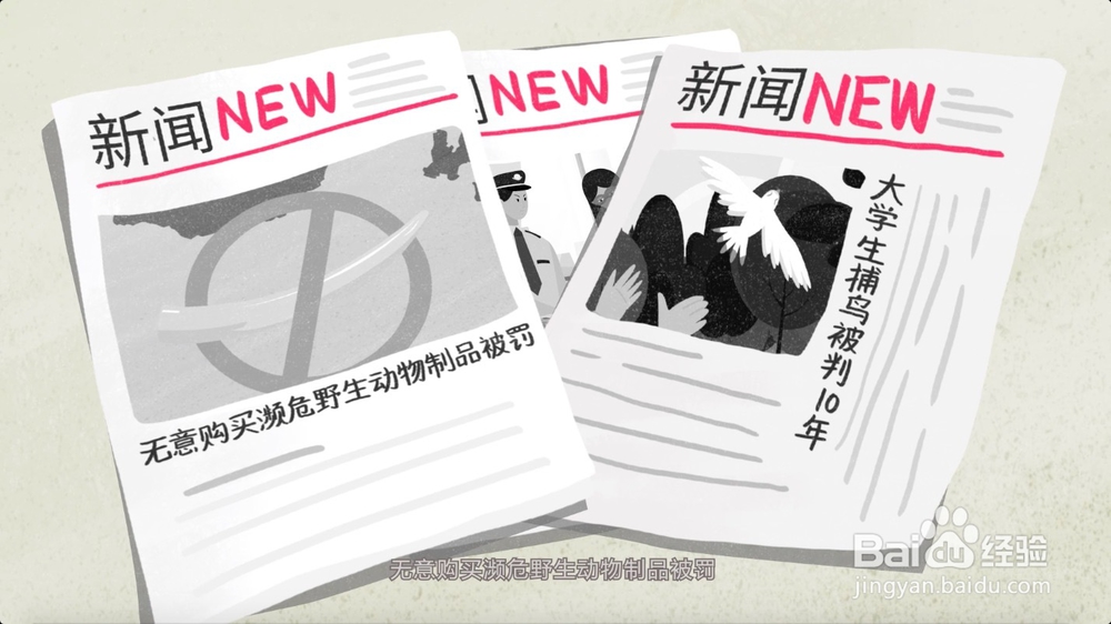 怎样正确保护野生动物