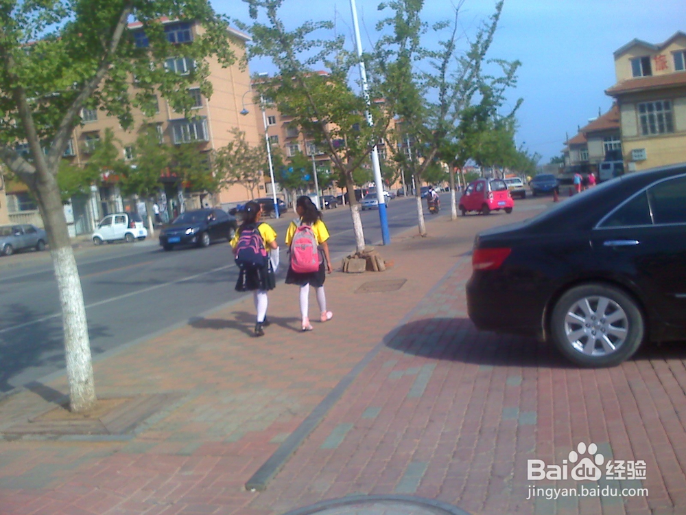 怎样告诉孩子安全过马路--4