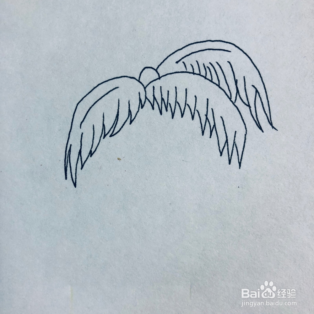 怎么绘画一棵简单的椰子树