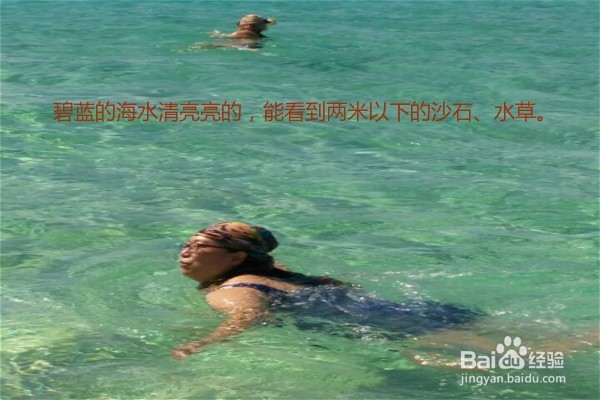 我去埃及了(二)红海出游小贴士及注意事项