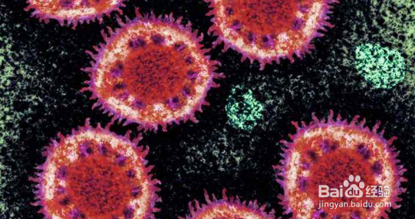 N95口罩和普通口罩的区别