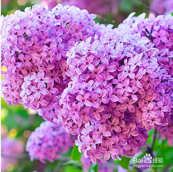 联通3g卡怎样包流量