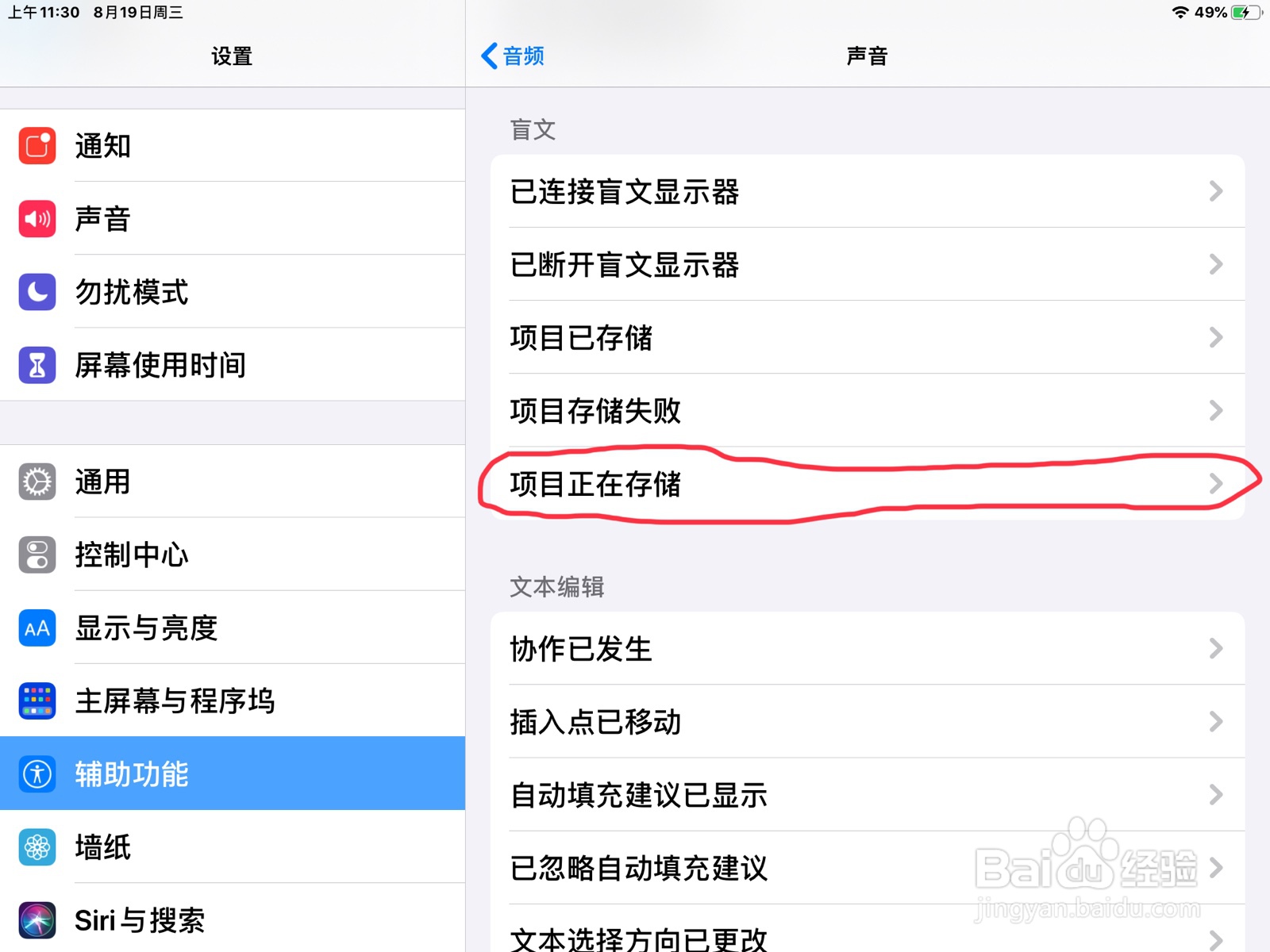 iPad怎么在旁白打开项目正在存储声音的开关