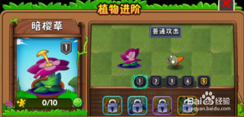 紫色植物三选一选哪个