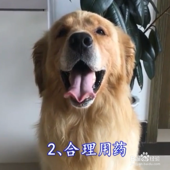 怎样补救失败的疫苗