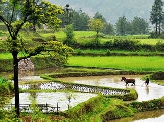 如何快速提高作文成绩