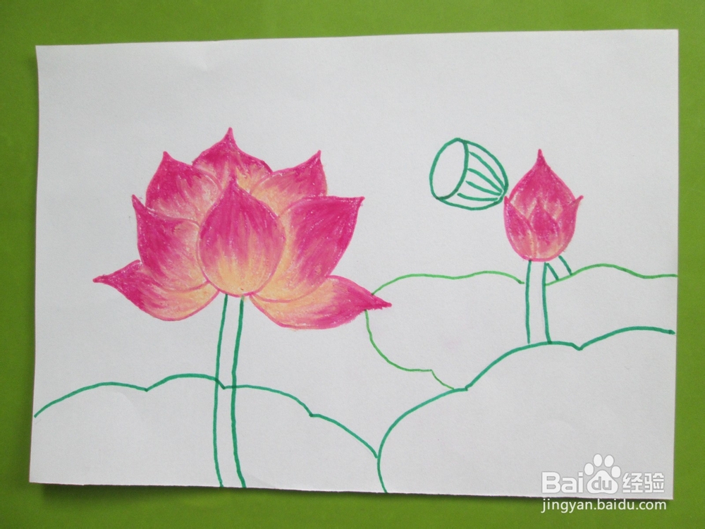 我们来学油画棒：[6]荷花