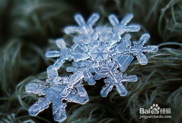 如何拍摄雪花