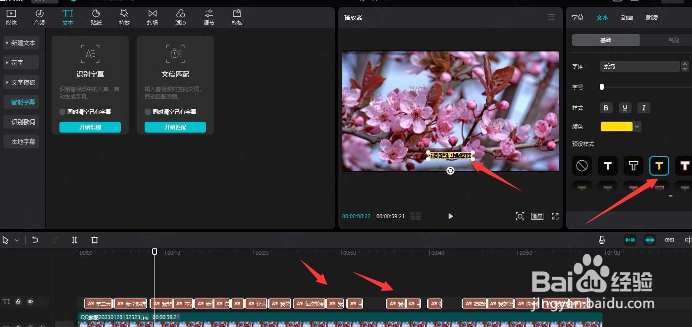 怎样在剪映专业版中添加字幕