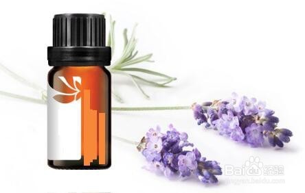 精油怎么用效果最好