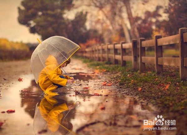 如何尊重幼儿学习与发展的整体性