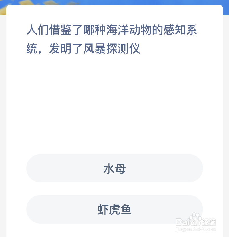 神奇海洋：人们借鉴了哪种海洋动物的感知系统
