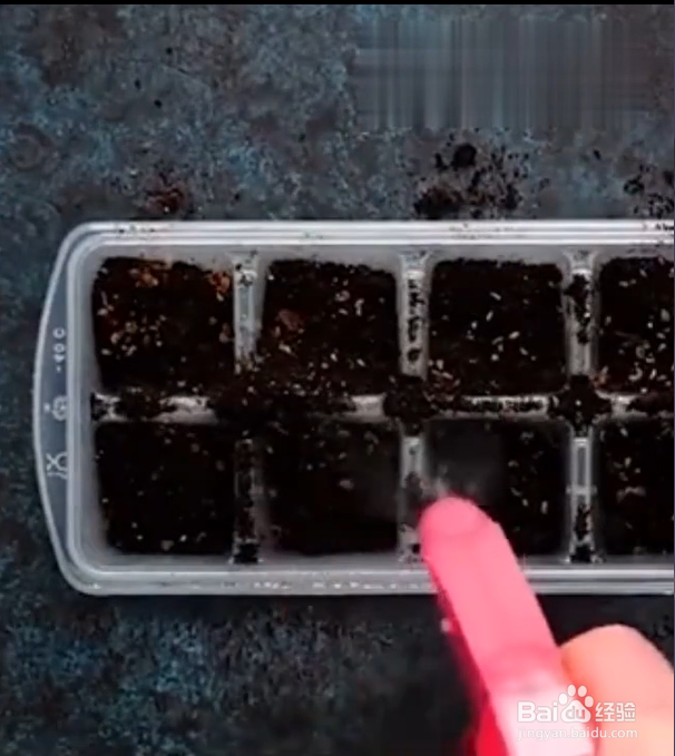 怎样正确使用冰格