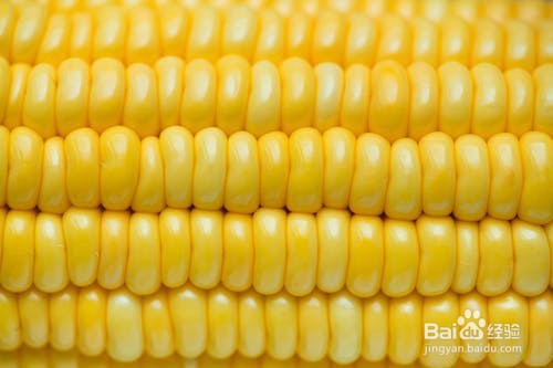 玉米的健身功效